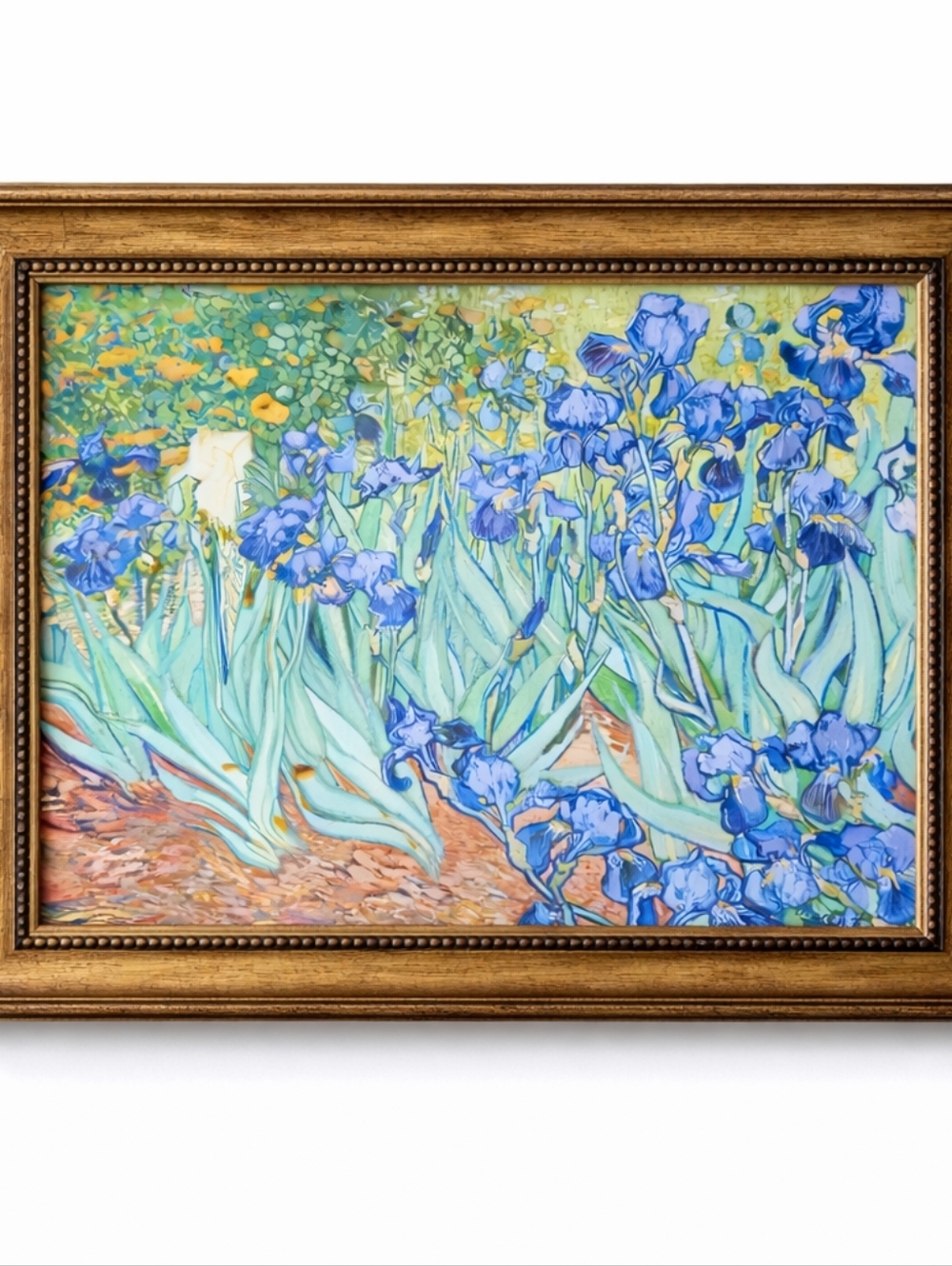 Irises Vincent van Gogh Painting Art Framed Hand Touched On Canvas Reproduction